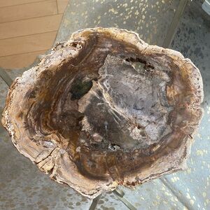 Petrified wood